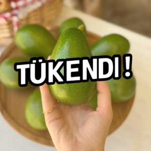 Clifton Avokado(1 Adet-200gr üstü)
