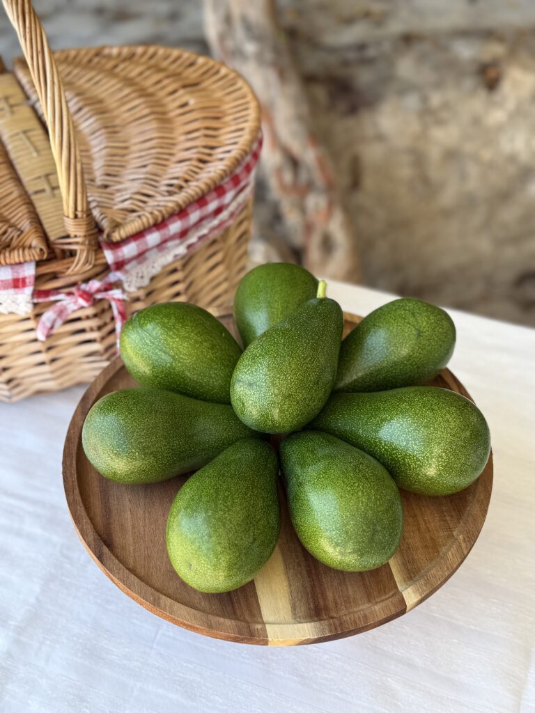 Dalından taze Anamur Avokado çeşitleri